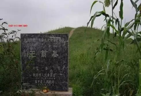 光华秦村人口_光华村街(2)