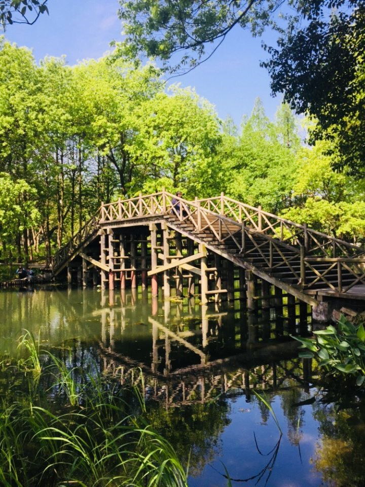 地址:杭州市西湖区梅灵南路1号 梅家坞是茶文化村,盛产龙井,周围山上