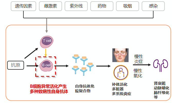 常规治疗控制不佳反复复发sle:贝利尤单抗取得杰出疗效