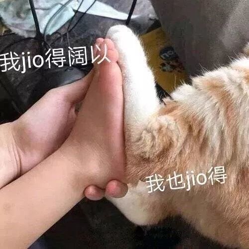 表情包丨我jio得ok