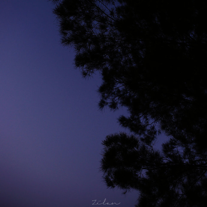 温柔的夜晚 / 背景图 头像