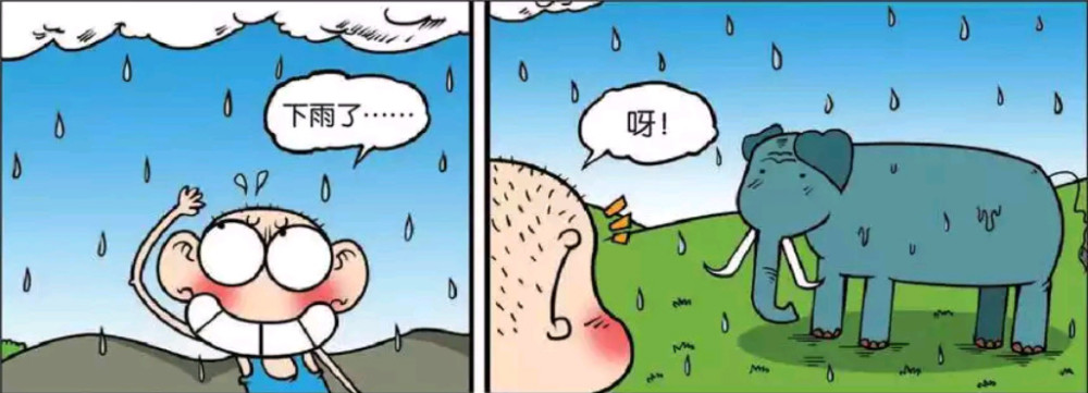 每日一开心:呆头在大象旁避雨,结果搞笑了,竟然下起了暴雨!