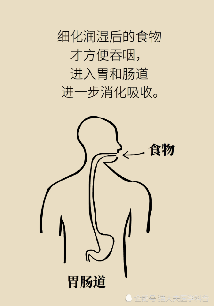 囫囵吞枣危害多细嚼慢咽品人生
