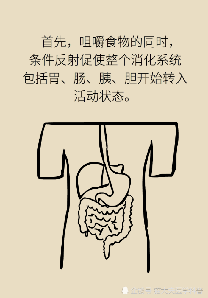 囫囵吞枣危害多 细嚼慢咽品人生