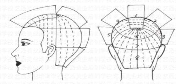 男士经典发型裁剪技术:奔式发型 裁剪步骤: 分区:u子线(顶区前半区1,2