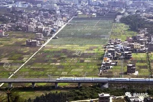 刷新 翻看我泉港区涂岭镇:虎岩寺石猴推磨,樟树脚古如