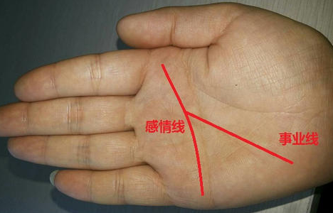 从手相看你的事业财运,事业线止于感情线会如何?