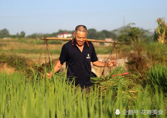 在农村,有很多农民七十岁了还下地干活,你怎么看?