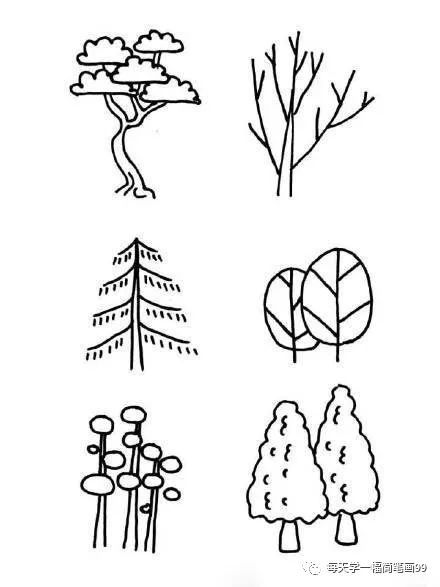 每天学一幅简笔画-各种树木简笔画