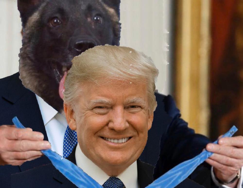 特朗普发ps图为狗颁勋章,赞它是
