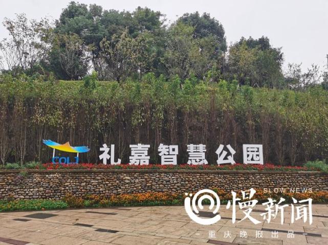 步道自带“仙气”、机器人弹琴……快来礼嘉智慧公园感受未来生活