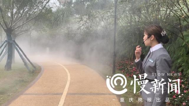 步道自带“仙气”、机器人弹琴……快来礼嘉智慧公园感受未来生活