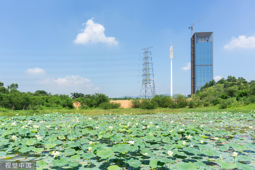 东莞gdp高还是惠州高_深圳东莞惠州地图(2)