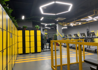 坚蛋速度:又增7家新门店!向破百进发