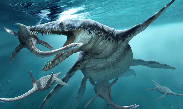 锋利的牙齿和强大的颚骨系统使这些海洋恐龙有可能撕碎与其紧邻的任何