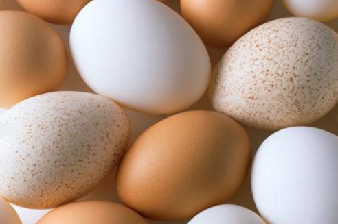 鸡蛋壳上有斑点是感染了病菌吗还能吃吗