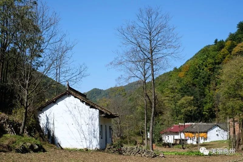 西沟,是地处秦岭之巅的一个小山村,与蓝田接壤,也是我们商州区广播