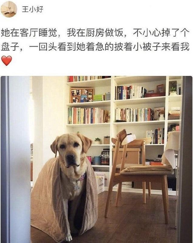 什么事情让你觉得最幸福?我觉得应该就是睡到自然醒了!