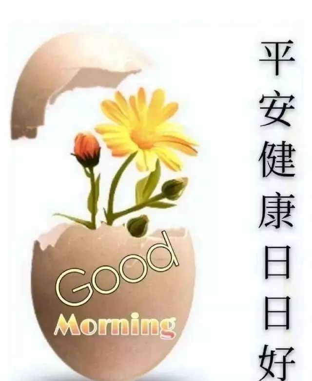 天冷了关心朋友的暖心早安祝福语句,朋友圈天冷了的关心问候句子