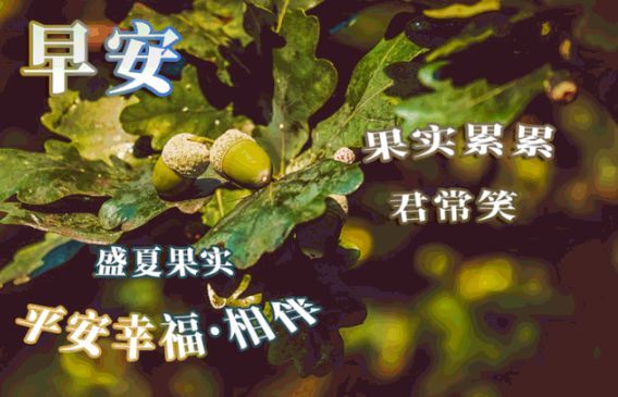 11月1日微信问候朋友的早安动态温馨图片 早上好祝福简短阳光句子