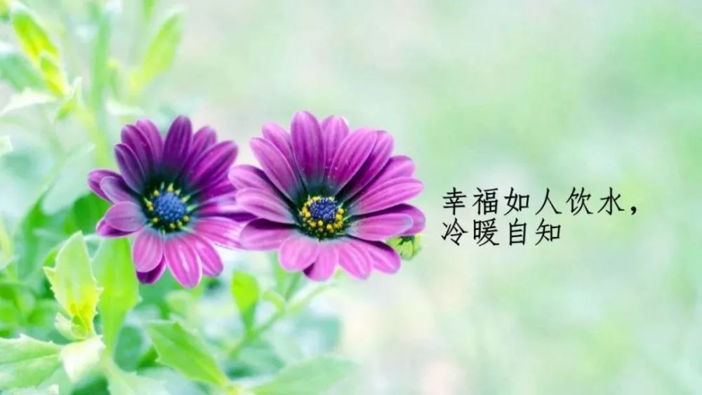 微信最新早安正能量说说心情短语 句句深入人心