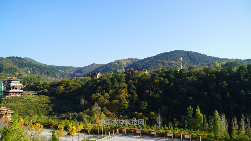 延安黄龙无量山,这个秋天最美的邂逅