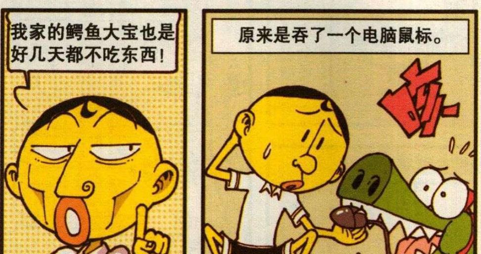 星太奇:奋豆鳄鱼是"食物链顶端"的宠物,奋豆"实力坑爹
