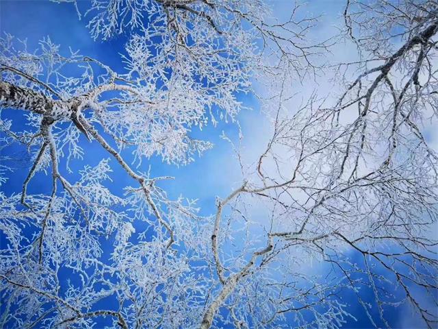 来东北雪乡朴宿,让我们在满天飞雪的日子里置身童话世界!