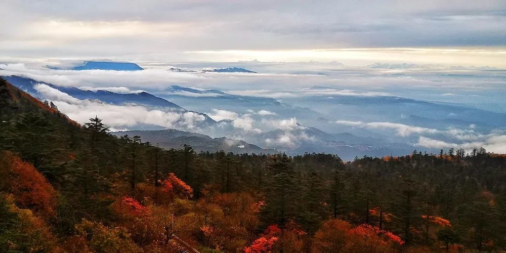 航拍峨眉山秋色,山林尽染,风轻云淡