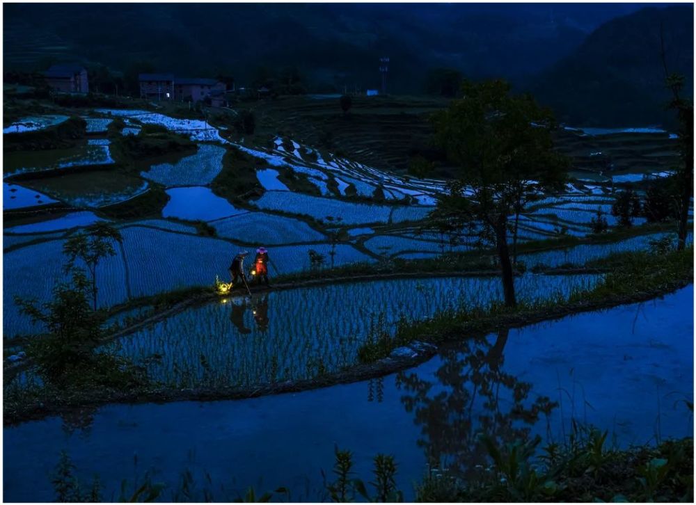 《看水》:2019年5月28日,酉阳高山上的土家族农民夫妇,为保持稻田的