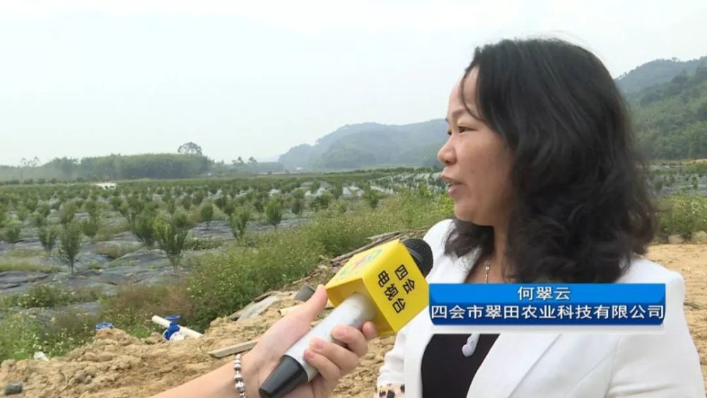 四会黄田镇柑桔产业园红色革命教育基地成乡村旅游精品线路景点