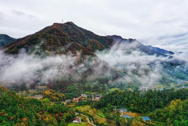 距离汉中七十多公里,是秦岭深山腹地的一个小县城,留坝境内山峦叠嶂