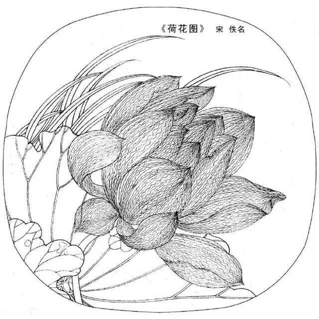 这一组宋代的工笔白描图,是临摹的好范本!