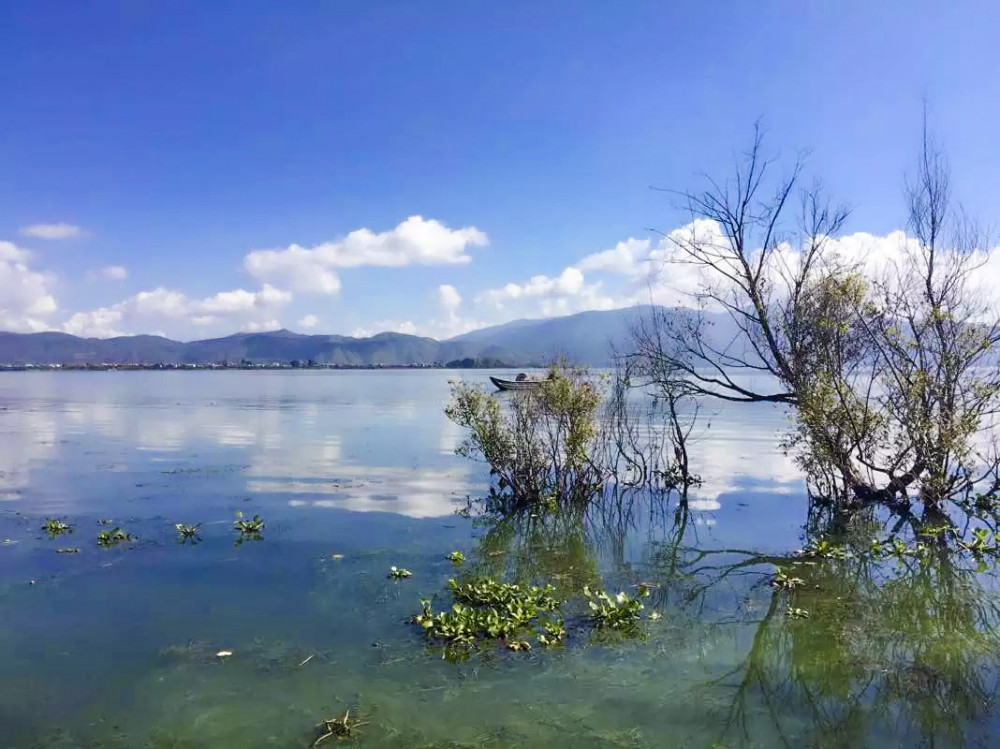 云南大理四大名景之一,游客用风景如画形容它,全程游览不收门票