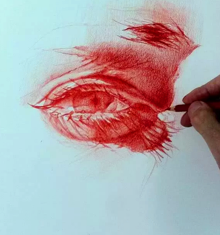 疯狂8年坚持用红色铅笔画素描看到成品优秀本秀