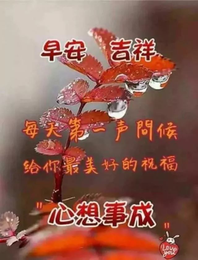 11月早上好最新版祝福漂亮图片带字 清晨早上好问候动