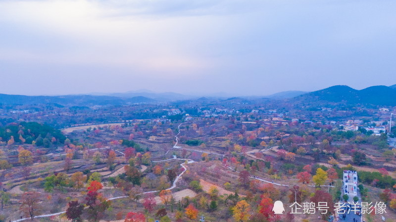 如油画般的湖北省孝感市大悟县四姑镇红叶景区