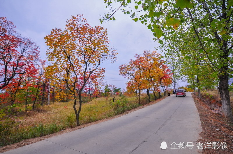 如油画般的湖北省孝感市大悟县四姑镇红叶景区