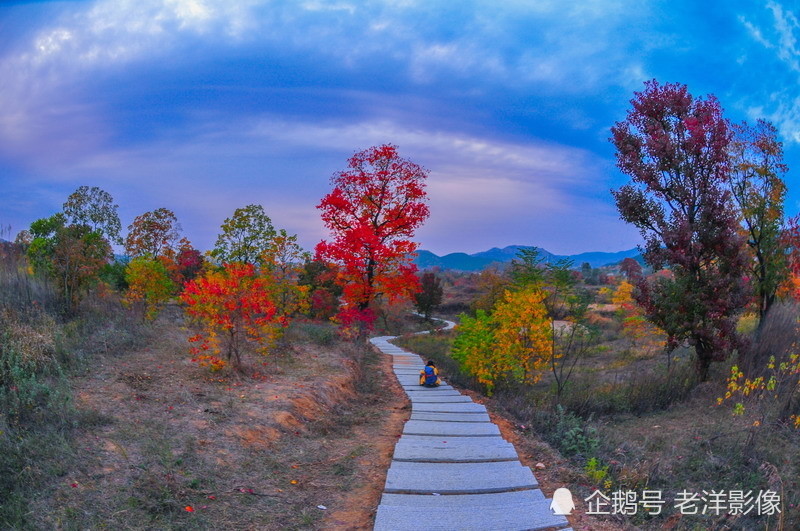 如油画般的湖北省孝感市大悟县四姑镇红叶景区