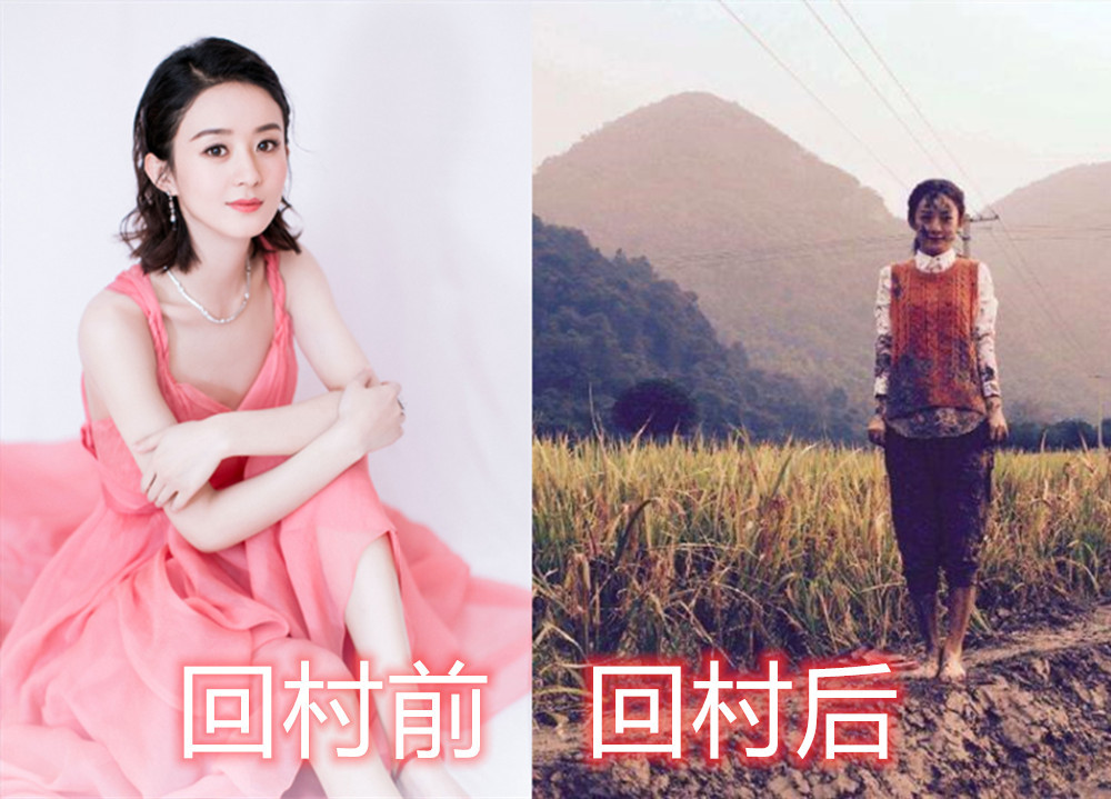 回村前vs后,王俊凯晒太阳,杨紫抱猪,看到千玺:不愧是大佬