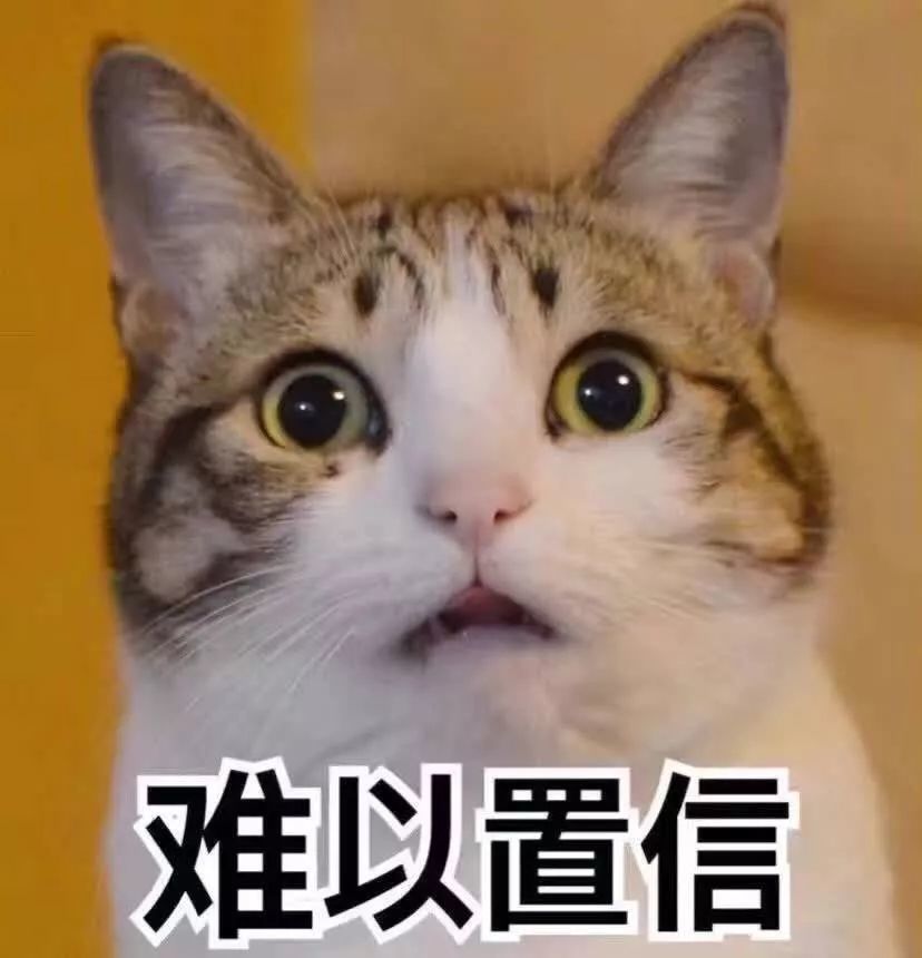 吸一吸抖音网红猫,第一只成精了!