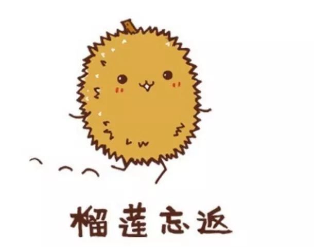 《广州榴莲美食研究报告》