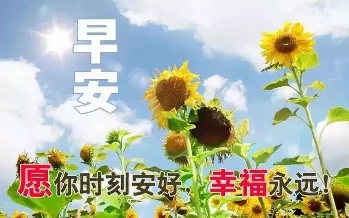 每天早上问候语及关心话 周一早安问候语图片动态表情
