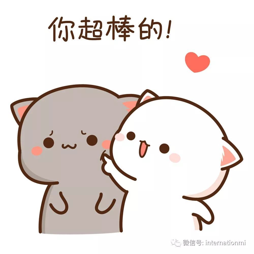 蜜桃猫第十季来啦