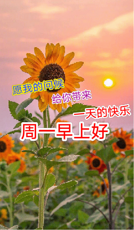 星期一最美早安问候图片周一早安祝福语唯美图片