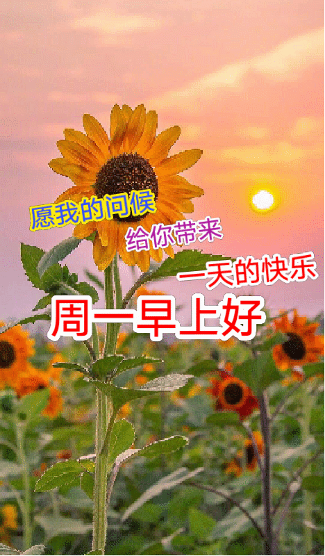 星期一最美早安问候图片周一早安祝福语唯美图片