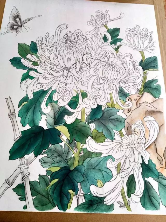 国画教程 菊花和蓝蝶的工笔画法