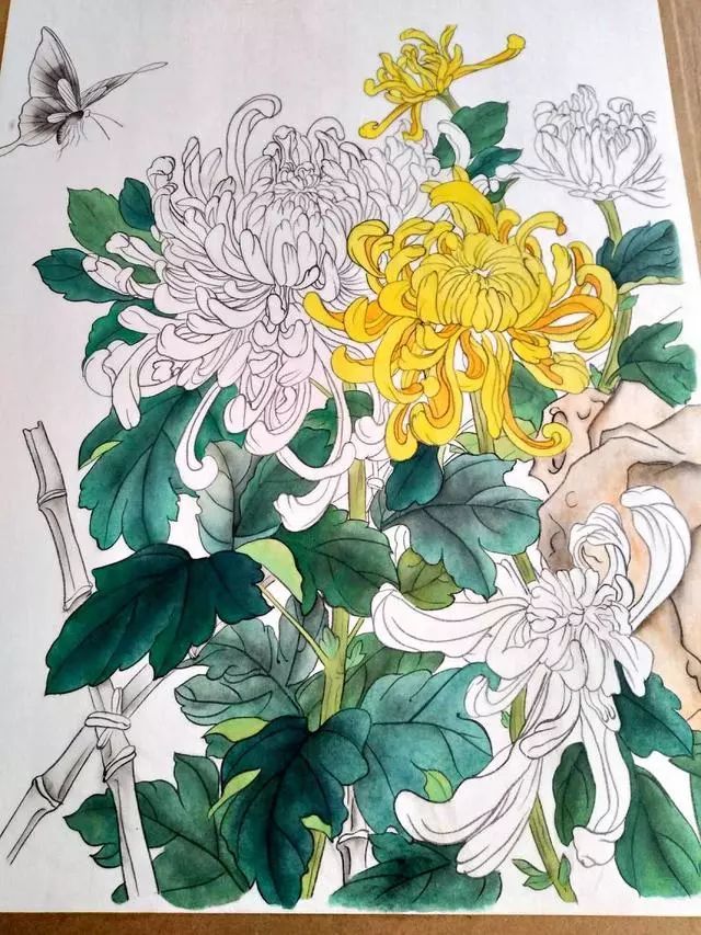 工笔画教程菊花蓝蝶的工笔花鸟