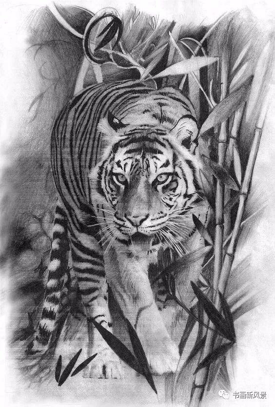 让你震撼的素描,狮子,老虎,小猫!