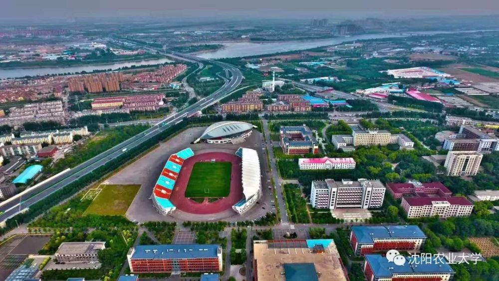 最美校园,沈农要c位出道!